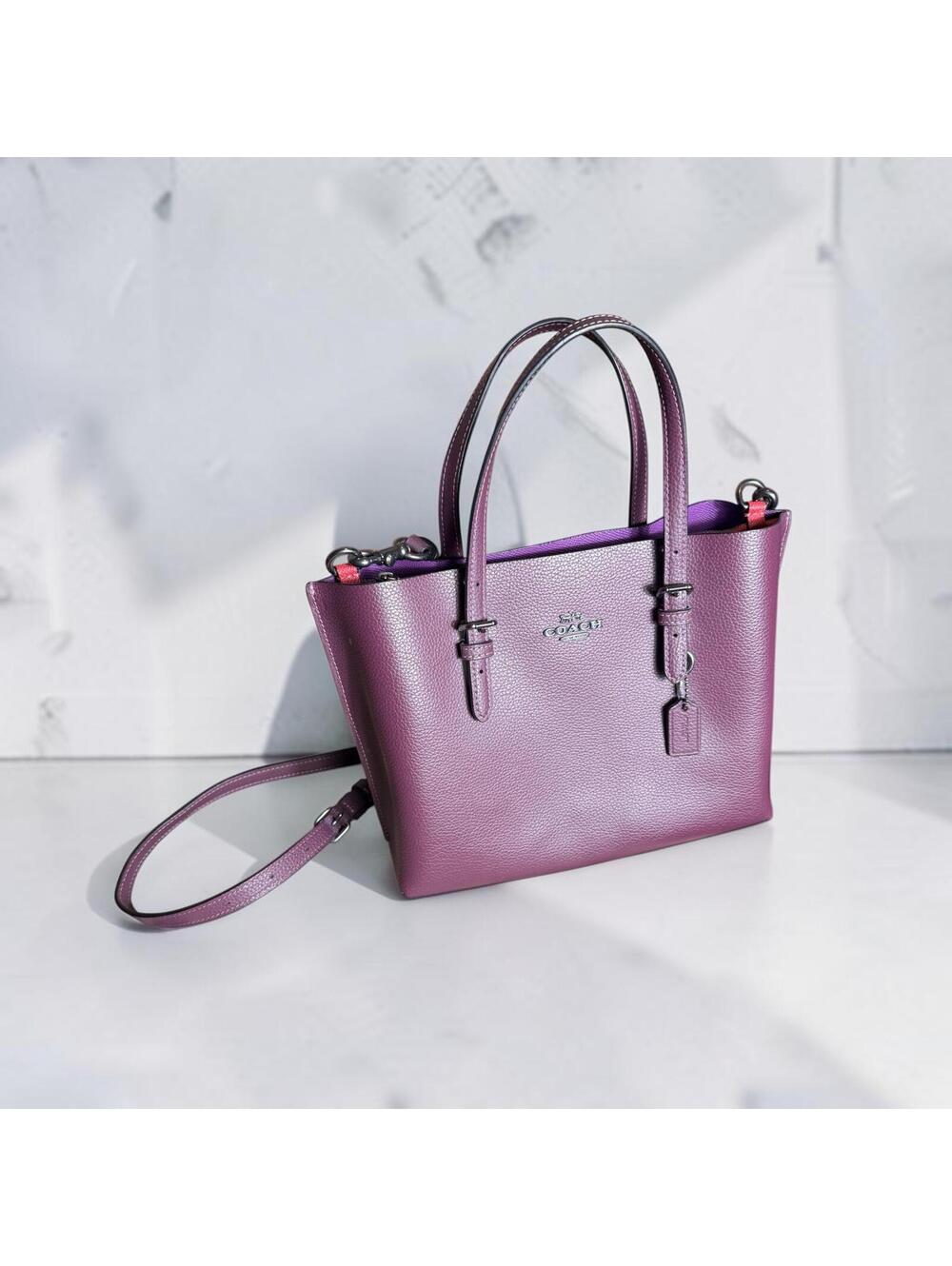 Coach Mollie Purse